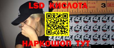 сатива Будённовск