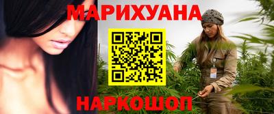 сатива Будённовск