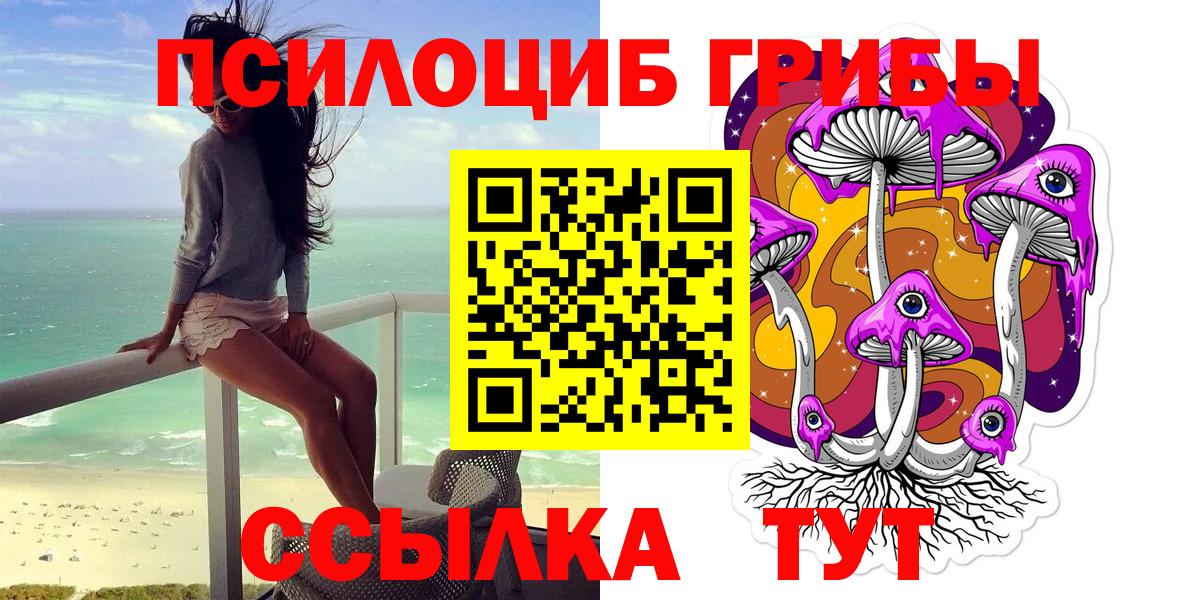 Псилоцибиновые грибы Psilocybe Прокопьевск