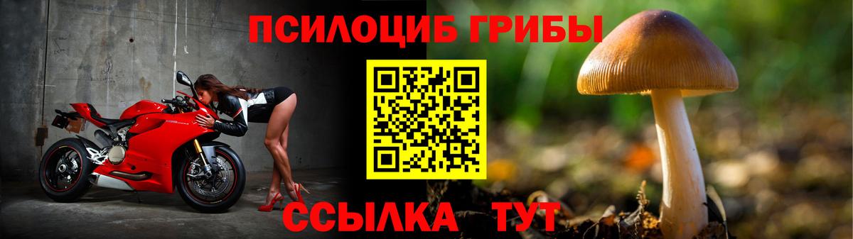 Прокопьевск  Галлюциногенные грибы ЛСД  Вход с VPN 