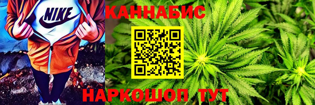A PVP Прокопьевск